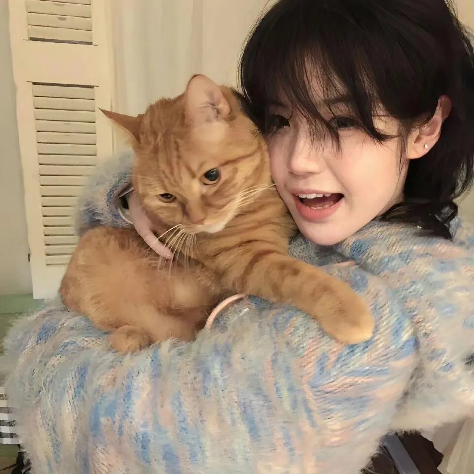 花牌情缘 下之句